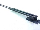 Tailgate/trunk strut/damper