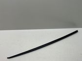 Windshield trim