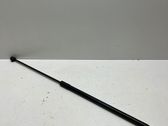 Front bonnet/hood damper/strut