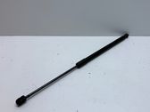 Tailgate/trunk strut/damper