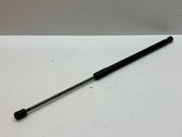 Tailgate/trunk strut/damper