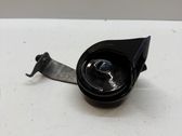 Horn signal