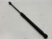 Front bonnet/hood damper/strut