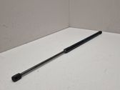 Tailgate/trunk strut/damper