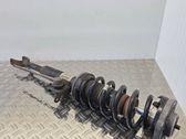 Front shock absorber with coil spring