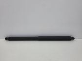 Tailgate/trunk strut/damper