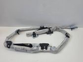 Roof airbag