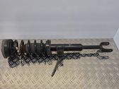 Front shock absorber with coil spring