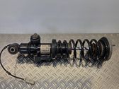Rear shock absorber with coil spring