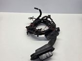 Front door wiring loom