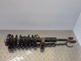 Front shock absorber with coil spring
