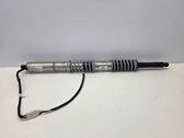 Tailgate/trunk strut/damper