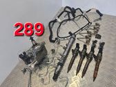 Conjunto de sistema de inyección de combustible