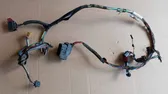 Front door wiring loom