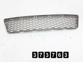 Kühlergrill