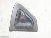 Front fender indicator light