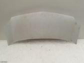 Motorhaube