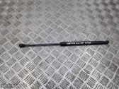 Tailgate/trunk strut/damper