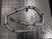Airbag del techo