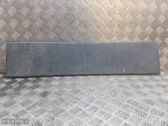 Listón embellecedor de la puerta delantera (moldura)