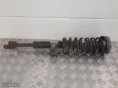 Front shock absorber/damper