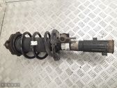 Front shock absorber/damper
