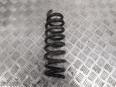 Rear coil spring