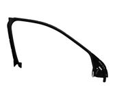 Front door glass trim molding