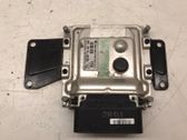 Engine control unit/module ECU