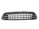 Front bumper upper radiator grill
