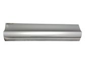Rear door trim (molding)