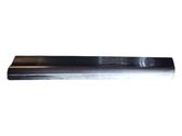 Front door trim (molding)