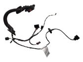 Rear door wiring loom