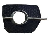 Front fog light trim/grill