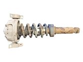 Rear shock absorber with coil spring