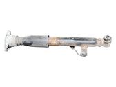 Rear shock absorber/damper