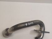 EGR vamzdelis (-iai)/ žarna (-os)