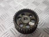 Fuel pump gear (pulley)