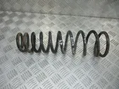 Front coil spring