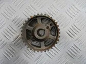 Fuel pump gear (pulley)