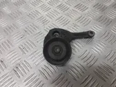 Alternator belt tensioner pulley