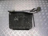 Gaisa kondicioniera radiators (salonā)