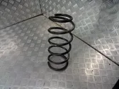 Front coil spring