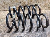 Rear coil spring