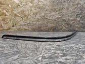 Rear bumper trim bar molding