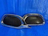 Front bumper upper radiator grill