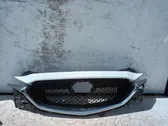 Front bumper upper radiator grill