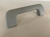 Front interior roof grab handle