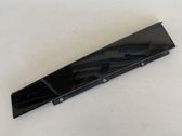Verkleidung Türfenster Türscheibe hinten