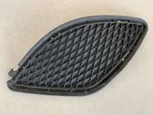 Grille inférieure de pare-chocs avant